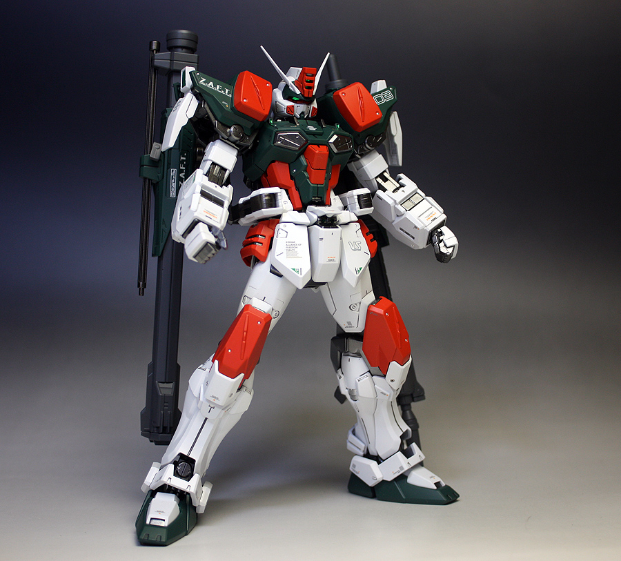 BANDAI MG 1/100 GAT-X103 BUSTER GUNDAM Plastic Model Kit Gundam SEED from Japan