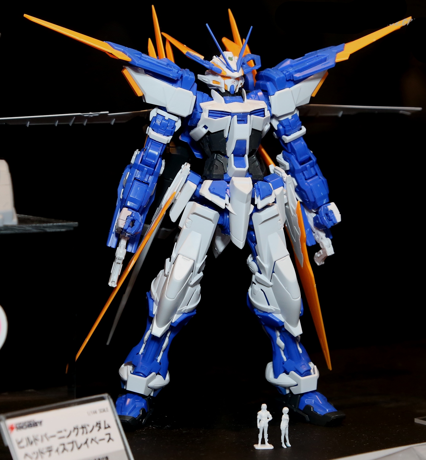 Bandai Hobby MG Gundam Astray Blue Frame D Action Figure