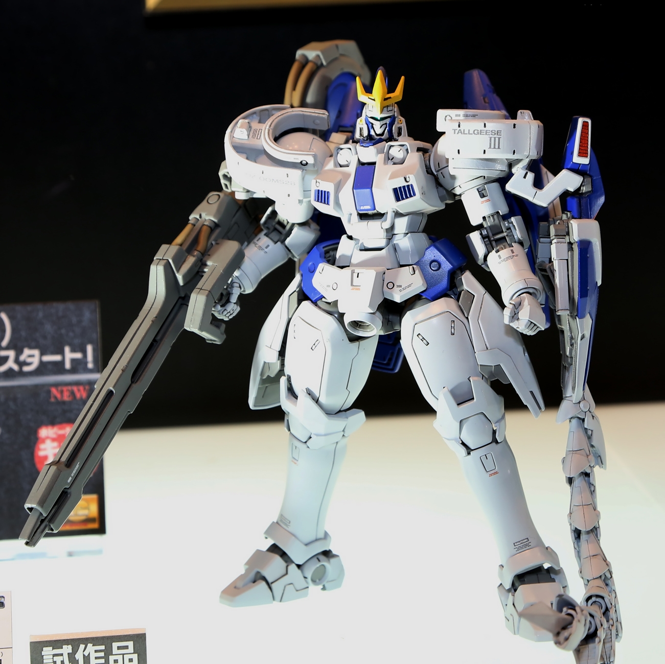 全日本模型ホビーショー 2014] P-Bandai MG 1/100 TALLGEESE III