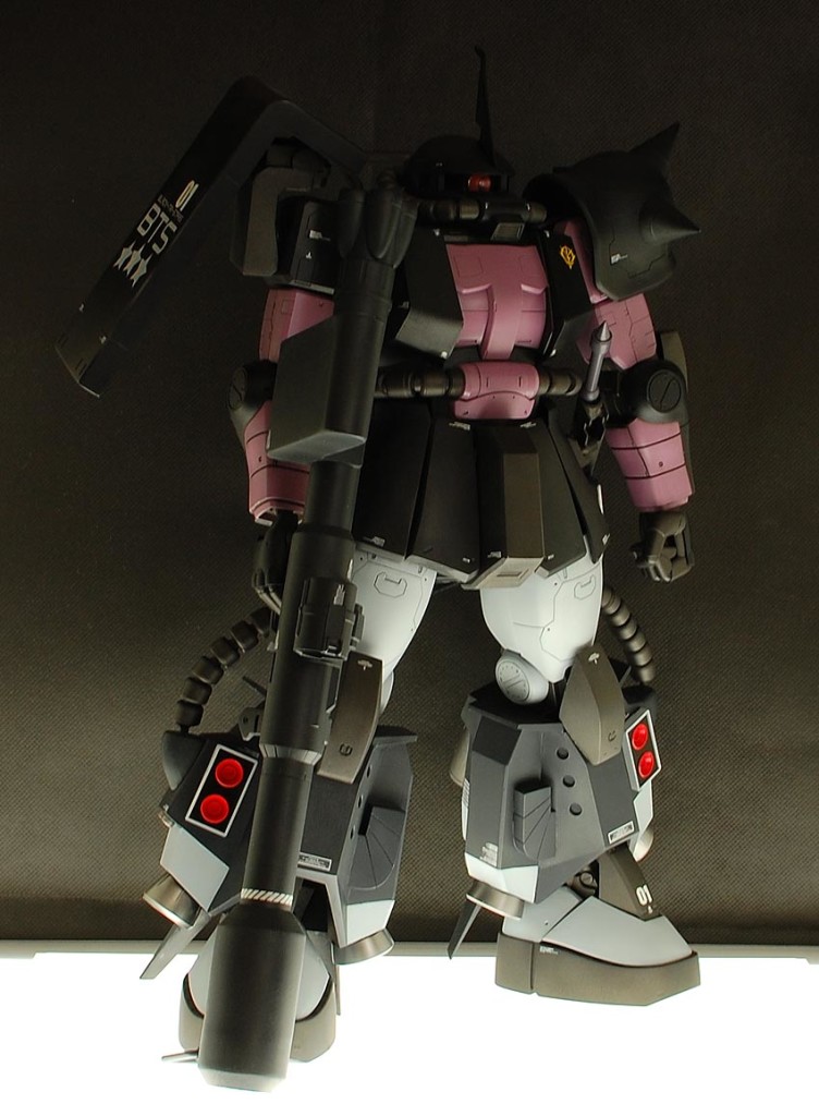 MEGA06R01