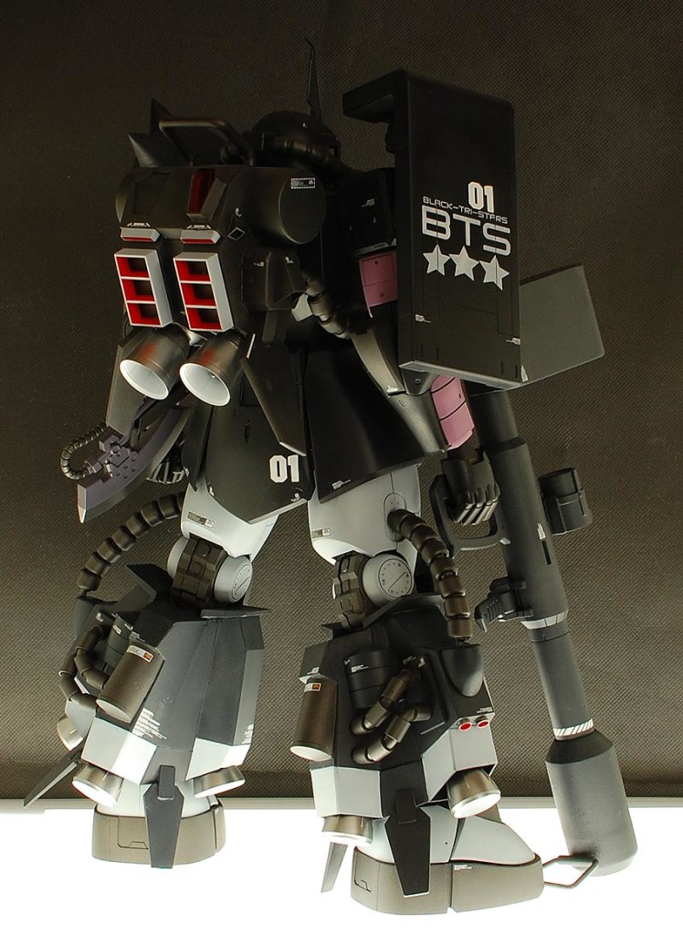 MEGA06R02