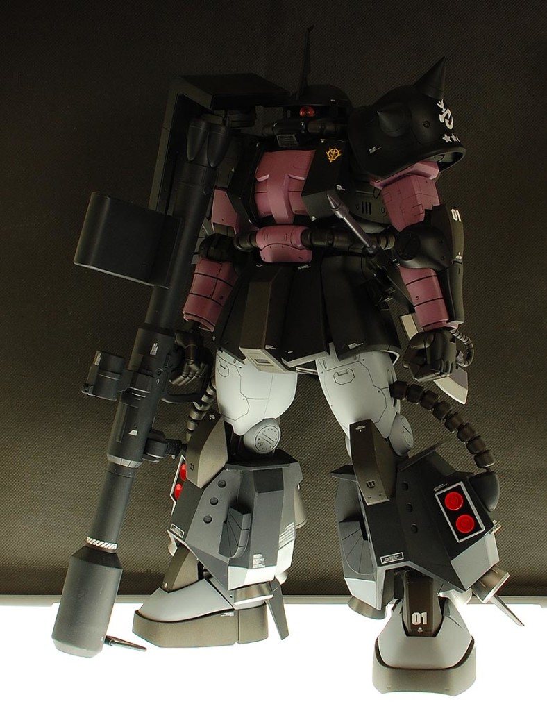 MEGA06R04