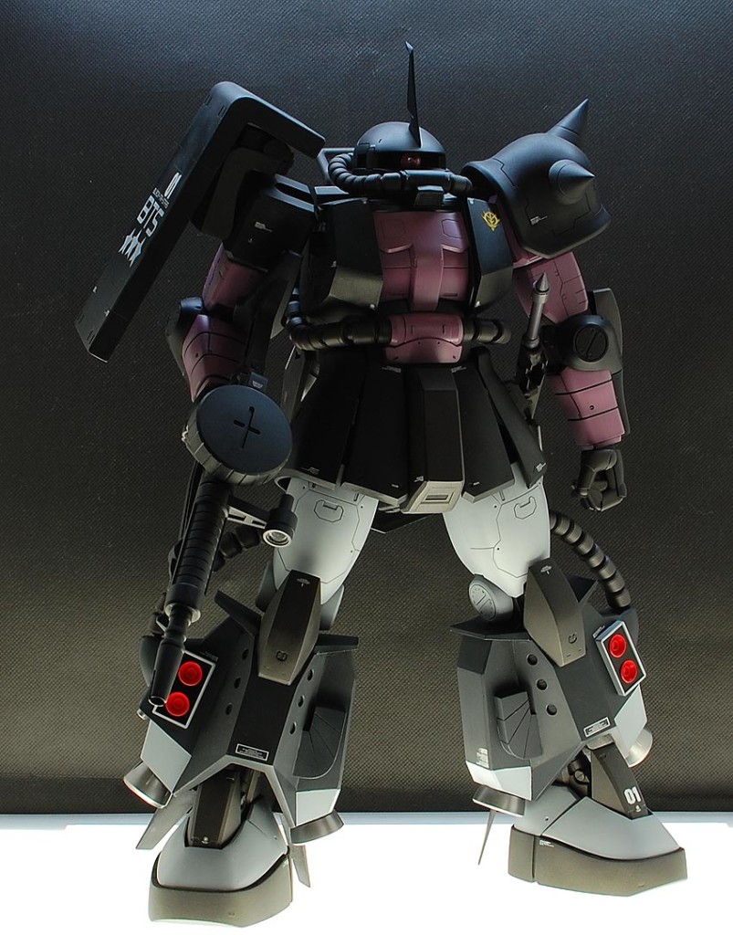 MEGA06R05