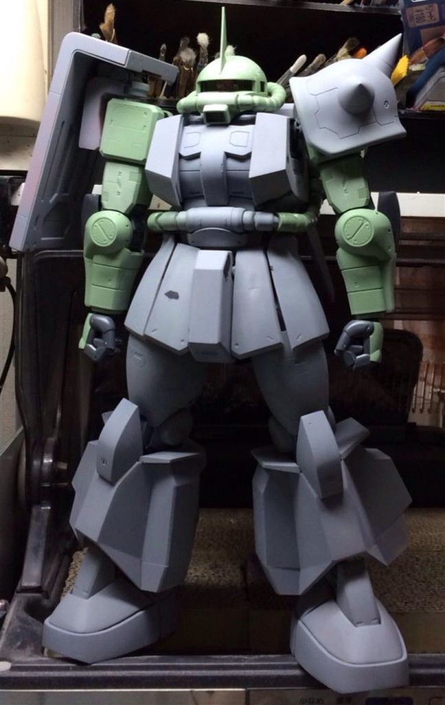 MEGA06R16_R