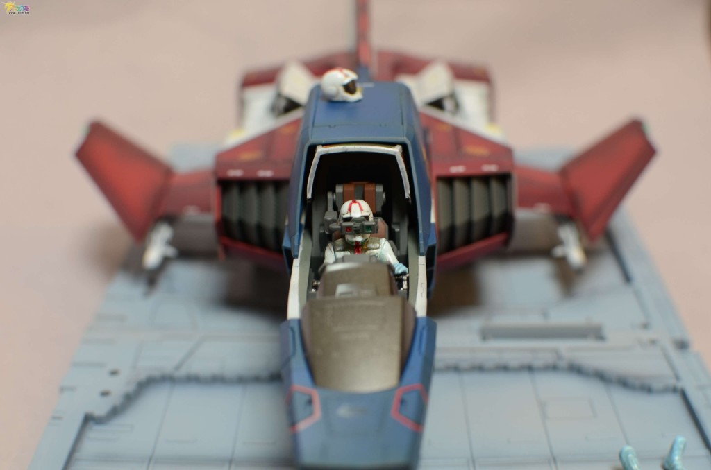 215517tuitty00nuizxnog