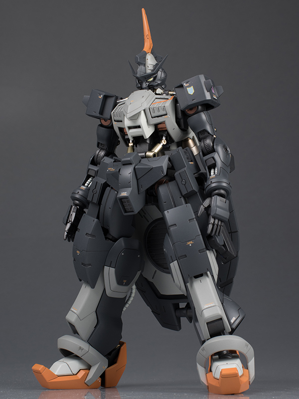 schizophonic9's Latest Amazing WORK: 1/100 GUNDAM KIMARIS