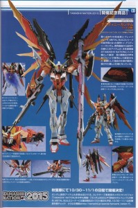 METAL BUILD 1/100 Destiny Gundam (ハイネ 機): Images + Scan from Hobby