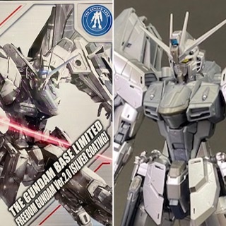 MG 1/100 The Gundam Base Limited Freedom Gundam Ver.2.0 Silver Coating 
