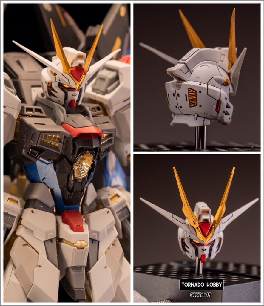 MHM MG Head Master 1/100 Strike Freedom Head